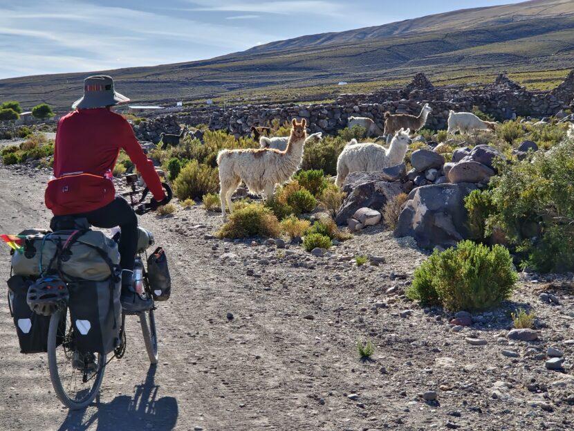 Arrivo a Coqueza